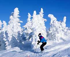 Package Tour To Shimla